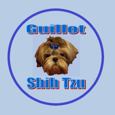Guillot Shih Tzu