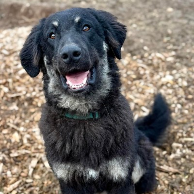 Bumbling Acres Farm breeder profile photo