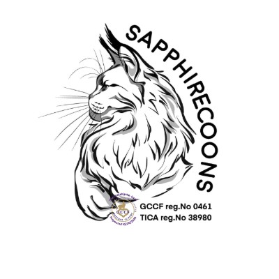 Sapphirecoons Maine Coon Breeder