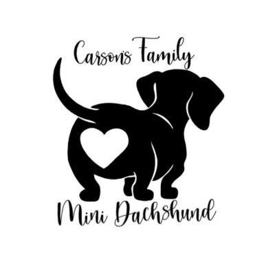 Carson's Family Mini Dachshunds