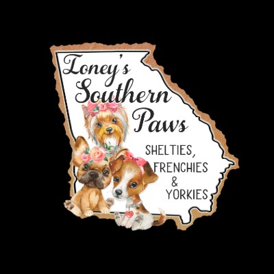 Ioneys Southern Paws LLC