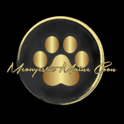 Meowjestic Maine Coon