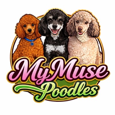 My Muse Poodles