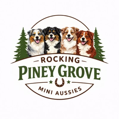 rocking piney grove mini aussies