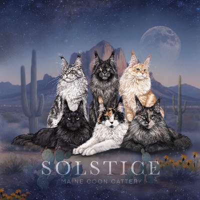 Solstice Maine Coons