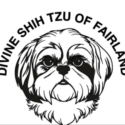 Divine Shih Tzu of Fairland