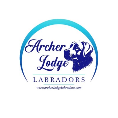 Archer Lodge Labradors