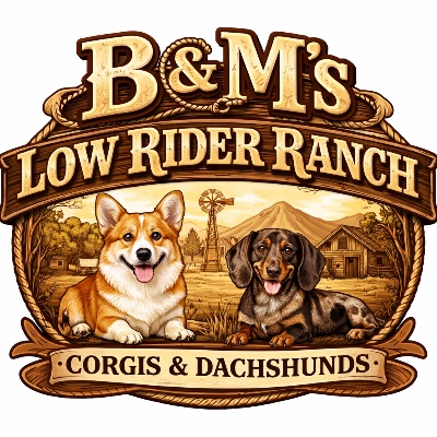 BM Low Rider Ranch