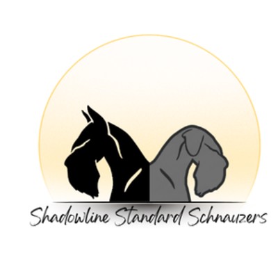 Shadowline Standard Schnauzers