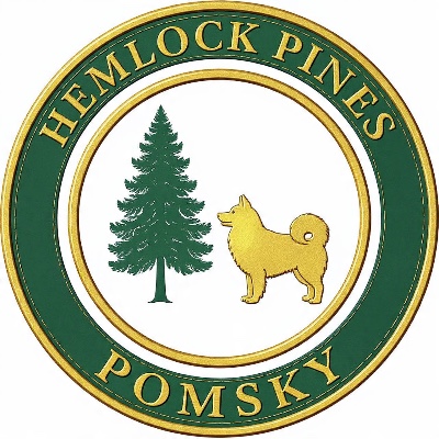 Hemlock Pines Pomsky breeder profile photo