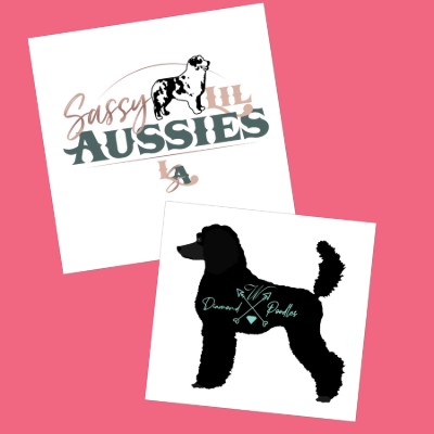 Sassy Lil Aussies and Diamond W Poodles