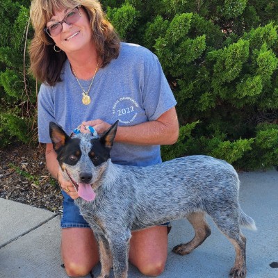 Timber Kennels breeder profile photo