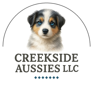 Business Icon