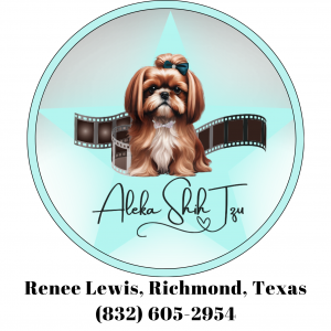 Business Icon